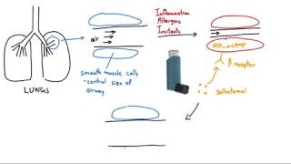 Use of a Nebuliser [upl. by Tita]