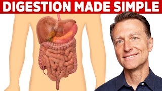 Your Digestive System Explained in Simple Terms [upl. by Tsew773]