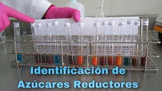 PRACTICA 5 IDENTIFICACIÓN DE AZUCARES REDUCTORES [upl. by Gilmore]