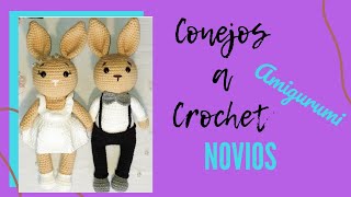 💙Conejos a crochet NOVIOS Amigurumi  22 [upl. by Eural441]