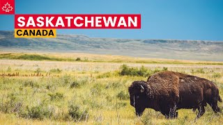 Canada Road Trip Best Things To Do In Saskatchewan [upl. by Haisi]