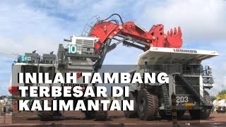 4 PERTAMBANGAN TERBESAR DI KALIMANTAN [upl. by Adnol764]