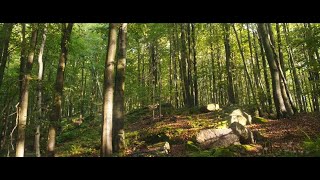 quotPrzeżyj to Polskie parki narodowequot – Świętokrzyski Park Narodowy [upl. by Eugeniusz]