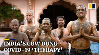 Doctors in India warn against using cow dung as Covid19 therapy [upl. by Ardnuhsal]