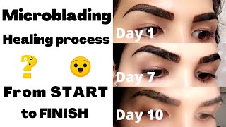 Microblading healing process from start to finish  Eyebrows experience  VLOG [upl. by Anael625]