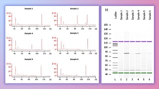 Forensic DNA Profiling Part I [upl. by Eram]