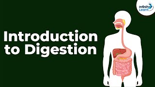 Introduction to Digestion  Digestion and Absorption  Dont Memorise [upl. by Meir]