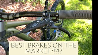 Sram G2 RSC Brake Set Long Term Review BEST MTB BRAKES EVER [upl. by Minerva]