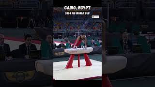 Ahmad Abu AlSoud  Gold Medal Pommel Horse  FIG World Cup 2024 [upl. by Yemarej]