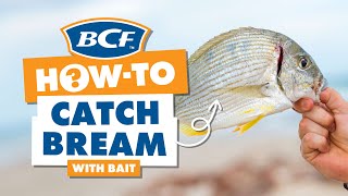 Catch Bream with Bait  BCF How To [upl. by Yerrot]