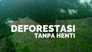 FWI DEFORESTASI TANPA HENTI DI INDONESIA [upl. by Aruabea]