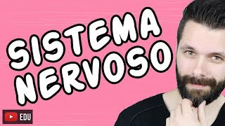 SISTEMA NERVOSO  FISIOLOGIA  Aula  Biologia com Samuel Cunha [upl. by Egdamlat932]