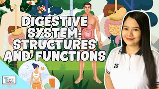 Digestive System Structures and Functions  Biology [upl. by Jonas]