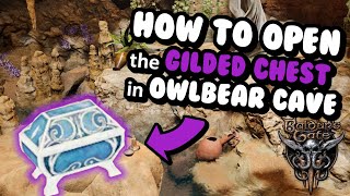 How to Open the GILDED CHEST in Owlbear Cave  Baldurs Gate 3 Guide [upl. by Mattox219]