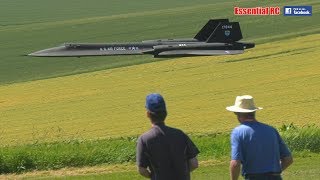 GIANT RC twin jet turbine LOCKHEED SR71 BLACKBIRD [upl. by Ettenuj]