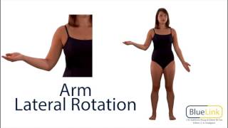 Arm Medial and Lateral Rotation [upl. by Courtland503]