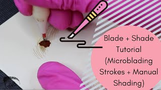 Microblading Blade  Shade Tutorial Manual Shading DemoCombo Brows [upl. by Wane]