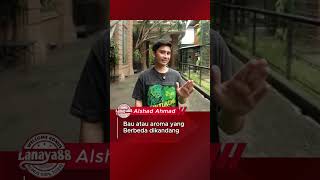 Alshad Ahmad viralvideo fyp [upl. by Ymmas]