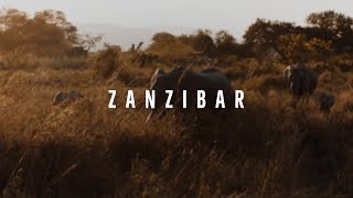 ZANZIBAR  Cinematic Travel Video [upl. by Lightfoot]