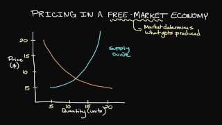 Pricing in a FreeMarket Economy [upl. by Cyprian]