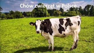 33 Chów zwierząt w Polsce [upl. by Uamak]