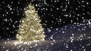 10 Hours SloMo Snow falling on Christmas Tree  Video amp Audio 1080HD SlowTV [upl. by Hsirrehc411]