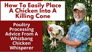 How To Easily Place A Chicken Into A Killing Cone [upl. by Noillimaxam773]