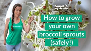 How to Grow Broccoli Sprouts [upl. by Yann863]