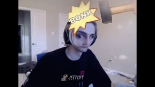 One and a Half Minutes of xQc Incorrectly Identifying Animals [upl. by Milone960]