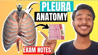 Pleura anatomy 3D  Difference between visceral and parietal pleura [upl. by Theodosia]