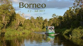 House boatTour in the jungle of Borneo  Kalimantan  Indonesia [upl. by Dabney]