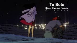 Te Bote  Conor Maynard ft Anth Extended [upl. by Perice]