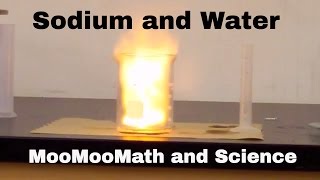 Sodium in water explosion Chemical Reaction [upl. by Wanda]