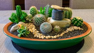 Cacti and Succulents Arrangement [upl. by Elwaine]