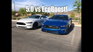 2019 Mustang GT vs 2019 Mustang EcoBoost RACE [upl. by Grose]