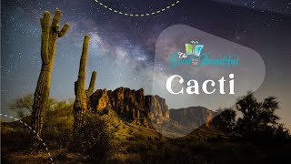 Cacti  Fun Facts About Cacti  Botany  The Good and the Beautiful [upl. by Nrubyar]