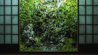 Waterfall View from a Forest Cabin [upl. by Sivek]