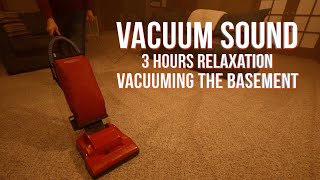 ASMR Cleaning Relaxing Vacuuming and Dusting [upl. by Ethbinium]