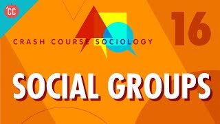 Social Groups Crash Course Sociology 16 [upl. by Intisar919]