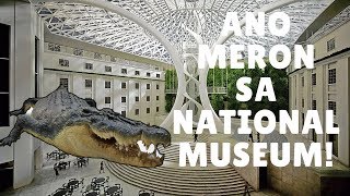 National Museum of Natural History in Manila Philippines [upl. by Rothberg150]