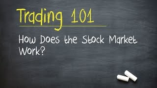 Trading 101 How Does the Stock Market Work [upl. by Harley]