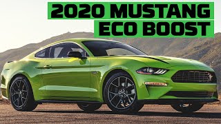 2020 Ford Mustang EcoBoost on the Track  Tire Racks Hot Lap  MotorTrend [upl. by Uolyram]