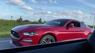 2020 Mustang Ecoboost vs 2017 Mustang GT both stock [upl. by Gnuhp]