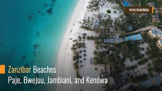 How Zanzibar Beaches Look Like in 2019 Paje Bwejuu Jambiani and Kendwa [upl. by Wallford]