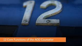 Addictions Counselor Core Skills Part I The 12 Core Functions [upl. by Ahsieyn]