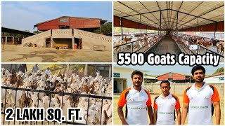 AFK Agronomics LLP Azamgarh  Complete Farm Tour of Indias Biggest Goat Farm [upl. by Lee]