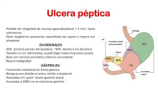 FISIOPATOLOGÍA  Semana 15  Ulcera Péptica [upl. by Aicetal]