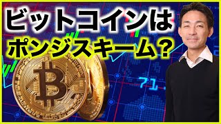 ビットコインはポンジスキーム。 [upl. by Einnod]