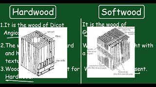 Hardwood vs Softwood Quick Difference and Comparisons [upl. by Anehta]