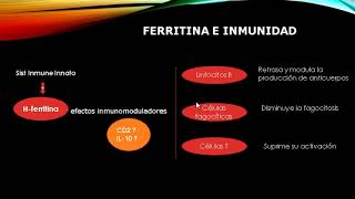 Ferritina como biomarcador de inflamación [upl. by Vevina]